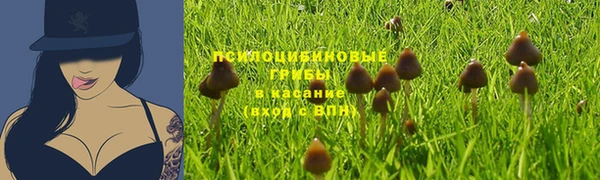 ПСИЛОЦИБИНОВЫЕ ГРИБЫ Нягань