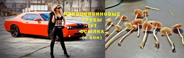 ПСИЛОЦИБИНОВЫЕ ГРИБЫ Нягань